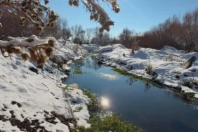 Ağrıda Kar ve Huzur