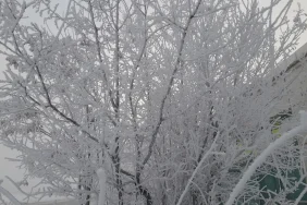 Ağrıda Kırağı ile Başlayan Bir Kış Sabahı