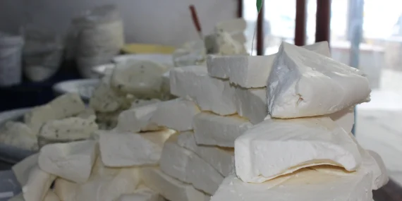 Ağrıda soğuk hava peynir talebini durduramadı