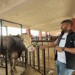 Ağrı hayvan pazarı arefe günü doldu taştı