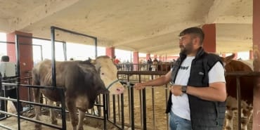 Ağrı hayvan pazarı arefe günü doldu taştı