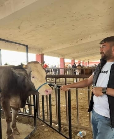 Ağrı hayvan pazarı arefe günü doldu taştı