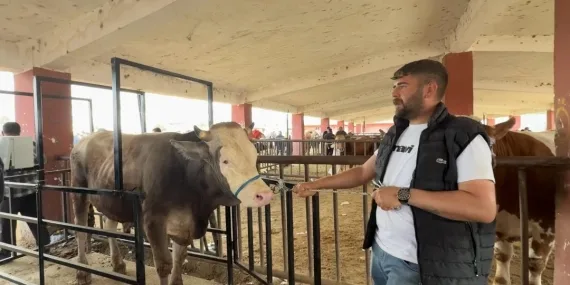 Ağrı hayvan pazarı arefe günü doldu taştı
