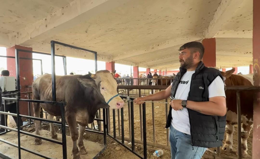 Ağrı hayvan pazarı arefe günü doldu taştı
